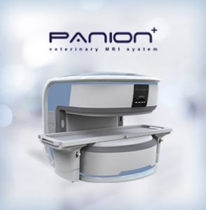 PANION PRO – Time Medical India